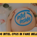 woman got caught with 200 Intel CPUs