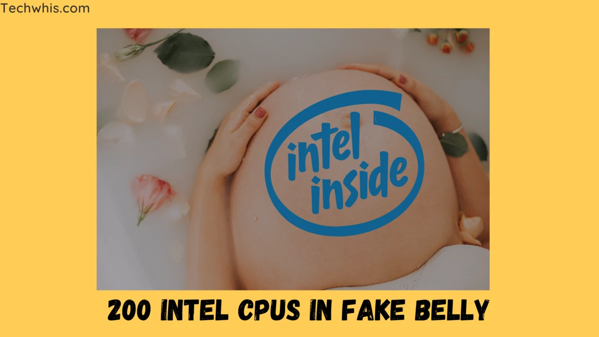 woman got caught with 200 Intel CPUs