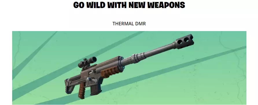 fortnite Thermal DMR