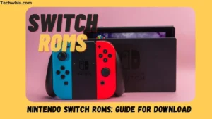 Nintendo Switch ROMs: Guide for Download and Play